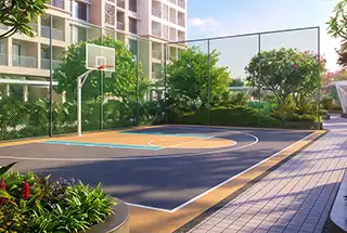 Half Basketball Court
